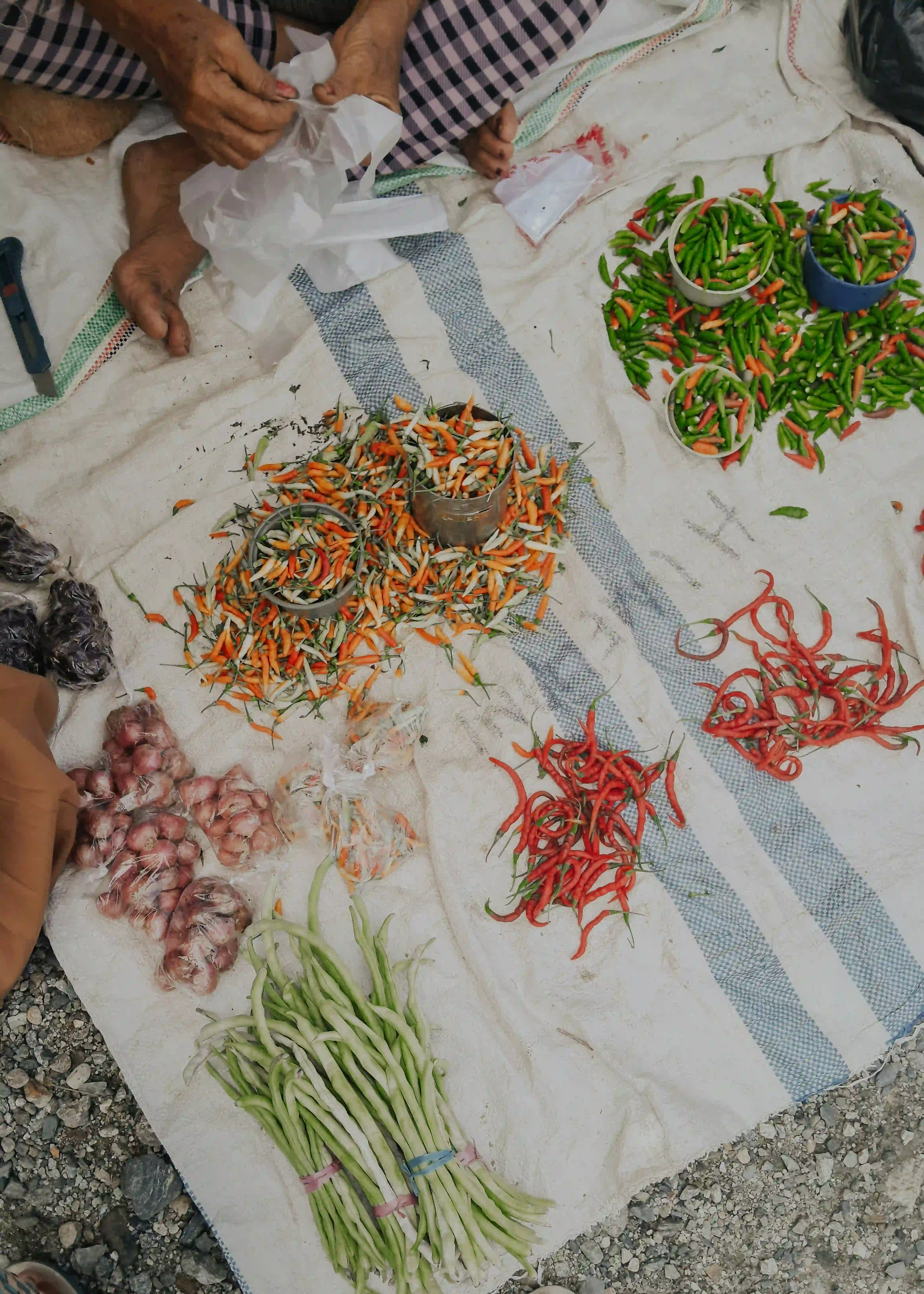 Sahabat Sayur